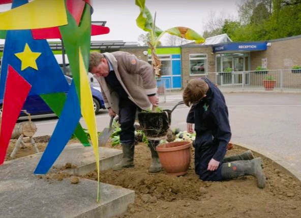Planting out for the Superbloom event